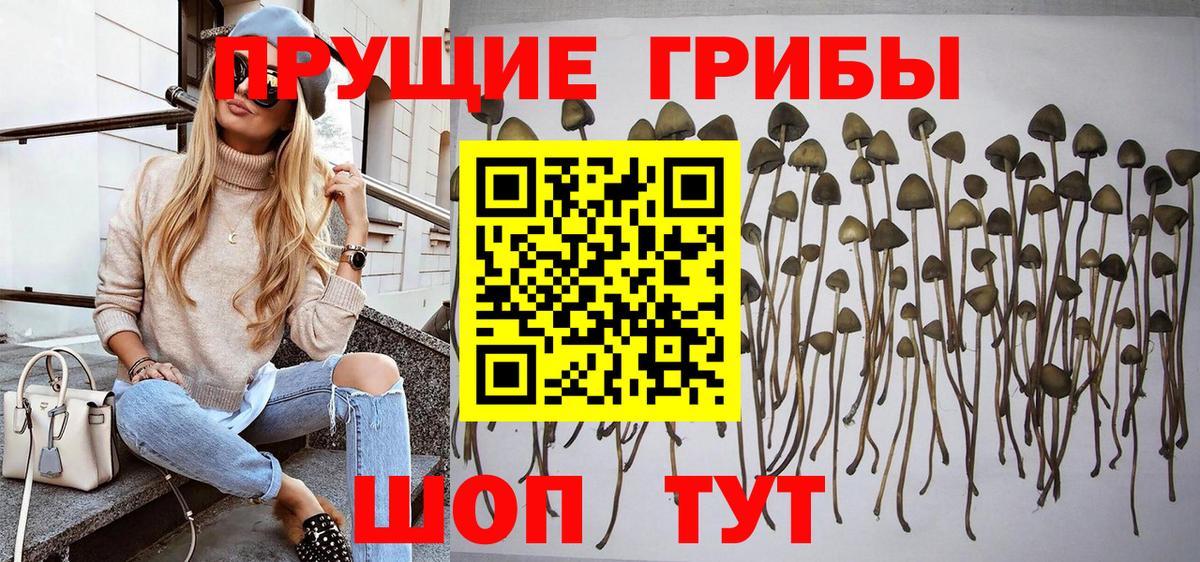 Галлюциногенные грибы ЛСД  Псилоцибиновые грибы MAGIC MUSHROOMS  Кингисепп  Вход с VPN 